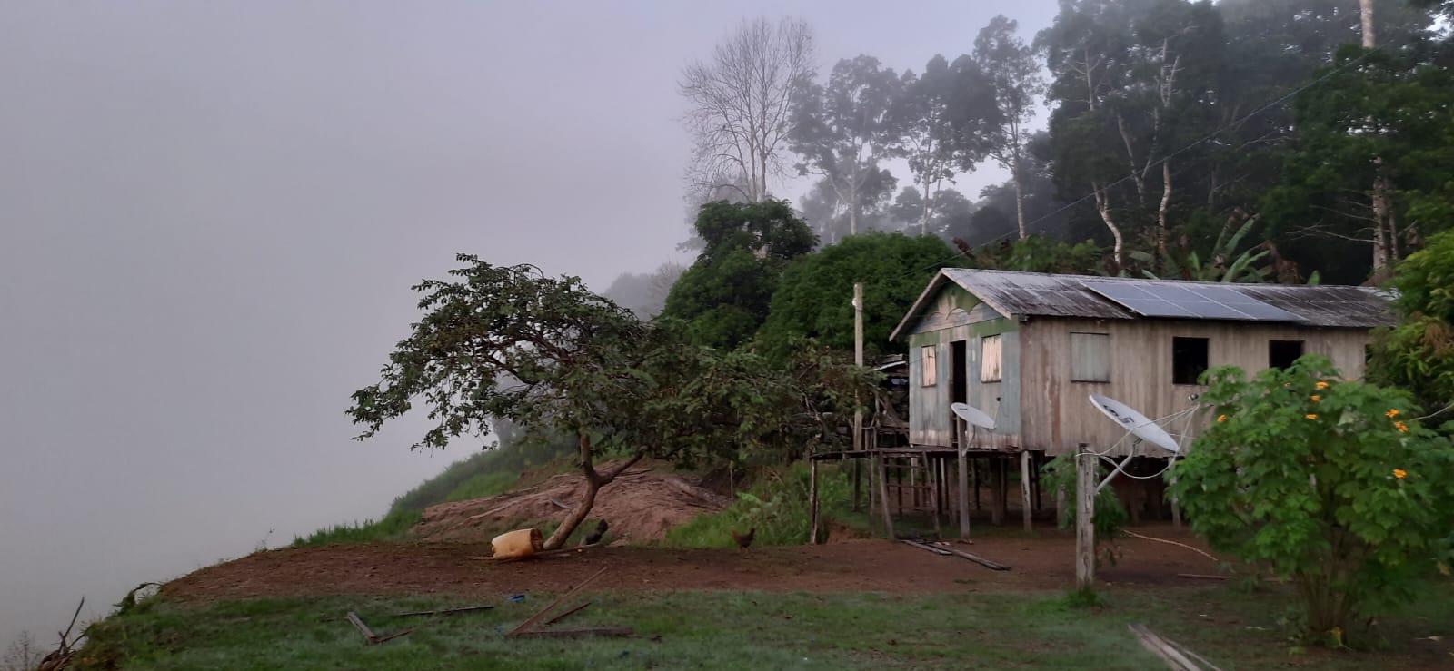 Floresta Amazônica