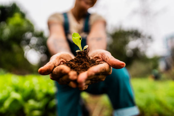 Mudanças climáticas ameaçam a segurança alimentar, desde a produção até o consumo