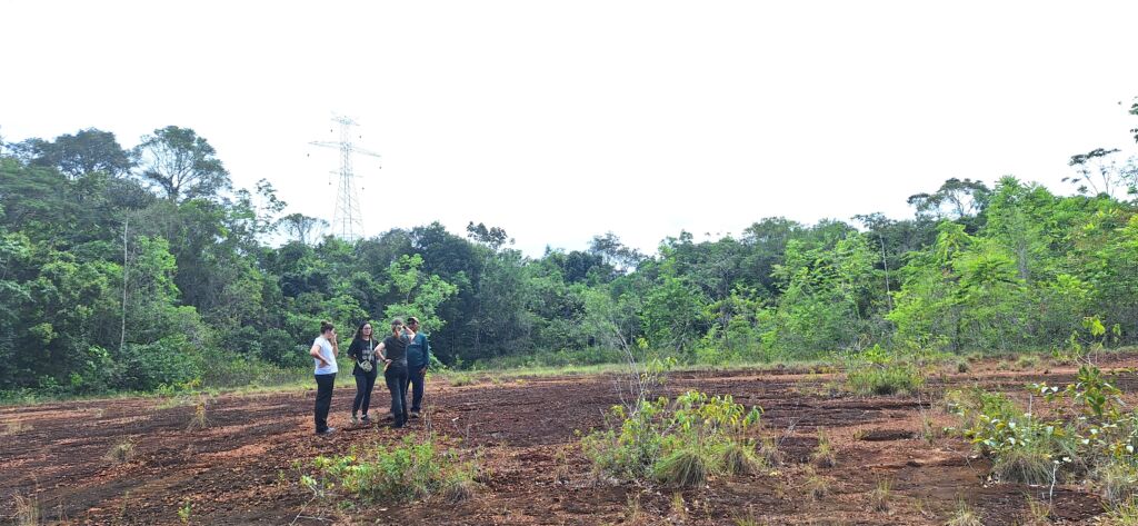 Podcast investiga impacto da BR-174 na Amazônia e a resistência do povo Waimiri-Atroari