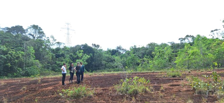 Podcast investiga impacto da BR-174 na Amazônia e a resistência do povo Waimiri-Atroari
