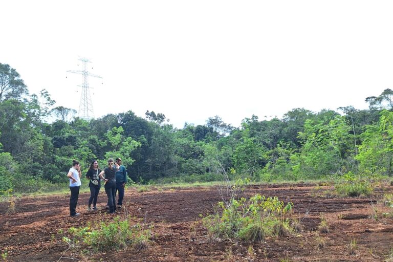 Podcast investiga impacto da BR-174 na Amazônia e a resistência do povo Waimiri-Atroari
