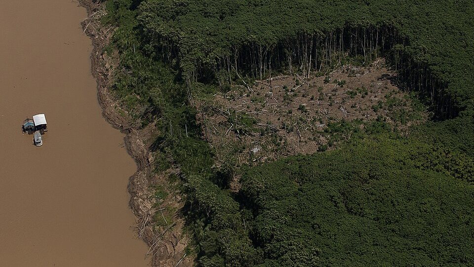 Do agronegócio à floresta em pé: estudo aponta desequilíbrio bilionário no investimento público na Amazônia
