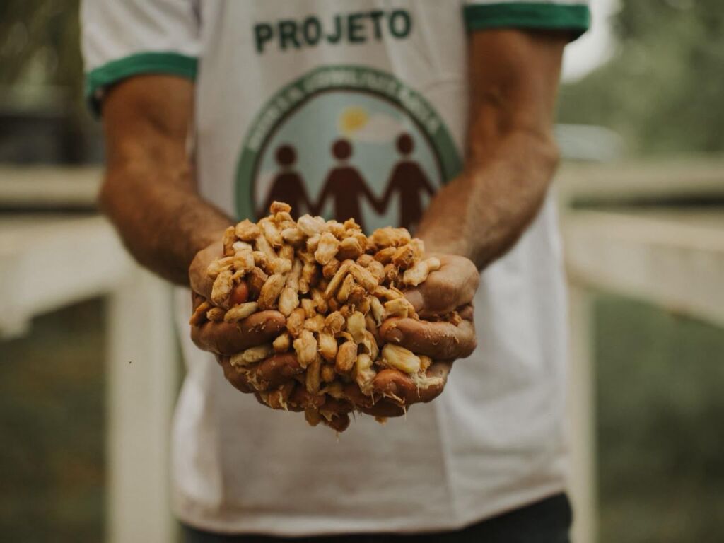 Mapeamento revela potencial da bioeconomia em Ji-Paraná-RO apesar de estar no arco do desmatamento