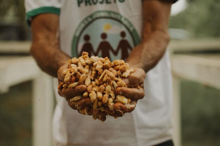 Mapeamento revela potencial da bioeconomia em Ji-Paraná-RO apesar de estar no arco do desmatamento