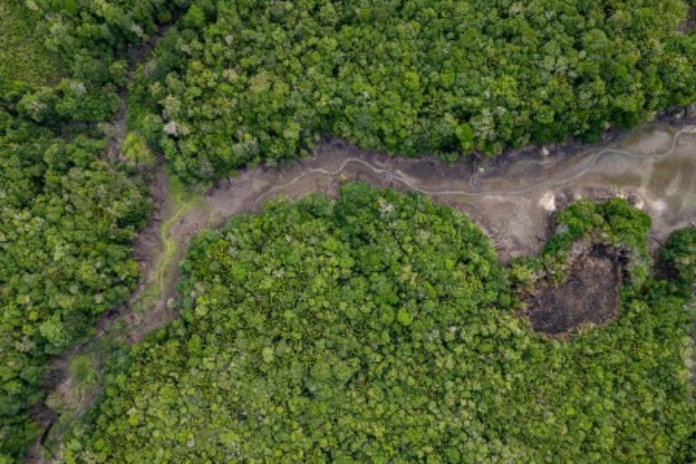 Temperatura máxima na estação seca já aumentou mais de 3 °C em área preservada na Amazônia